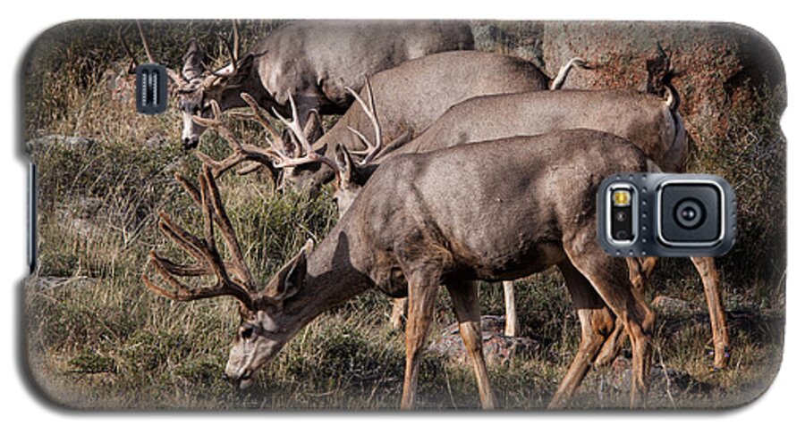 2012 Galaxy S5 Case featuring the photograph Mule Deer Bucks #2 by Ronald Lutz