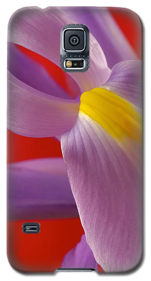 Flowers Galaxy S5 Case featuring the photograph Photograph of a Dutch Iris #2 by Perla Copernik