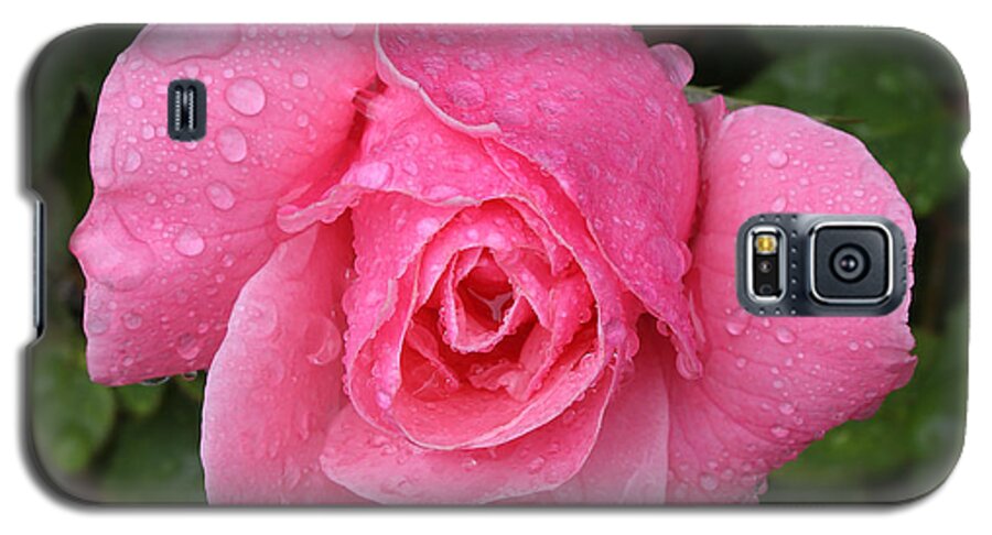 Wet Galaxy S5 Case featuring the photograph Pink rose macro shot with rain drops #1 by Nicholas Burningham