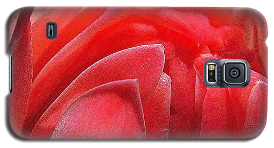 Flower Galaxy S5 Case featuring the photograph Pink Torch Ginger #2 by Jocelyn Kahawai