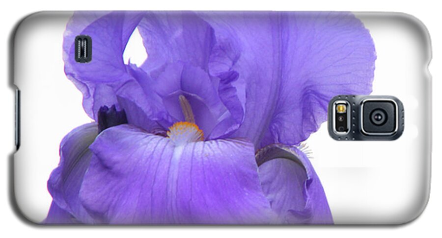 Iris Galaxy S5 Case featuring the photograph Purple Iris on White #1 by Kristy Jeppson