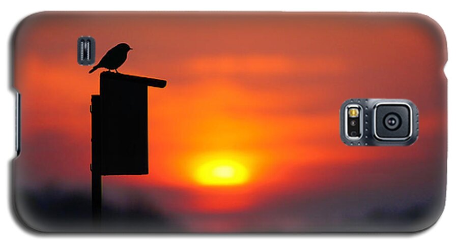Bird Galaxy S5 Case featuring the photograph The Early Bird #1 by Bill Pevlor