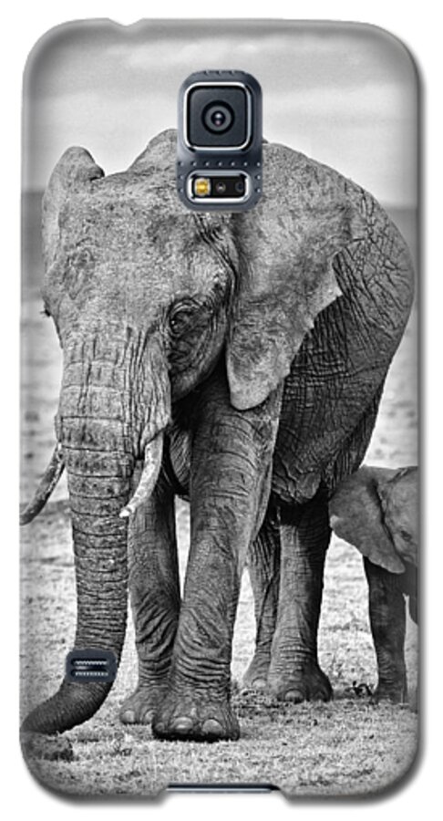 Africa Galaxy S5 Case featuring the photograph African Elephants in the Masai Mara #3 by Perla Copernik