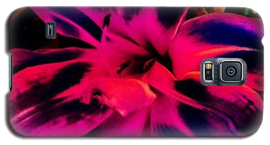 Summer Galaxy S5 Case featuring the photograph Flower #2 by Katie Williams