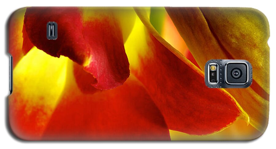 Dendrobium Galaxy S5 Case featuring the photograph Dendribium malone or Hope orchid Flower #5 by Perla Copernik