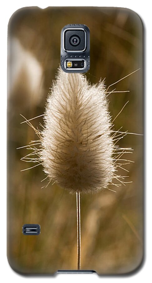 Abstract Galaxy S5 Case featuring the photograph A beautiful seed pod with beautiful sun reflection by U Schade