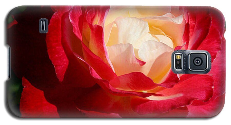Rose Galaxy S5 Case featuring the photograph A Unique Rose by Karen Harrison Brown