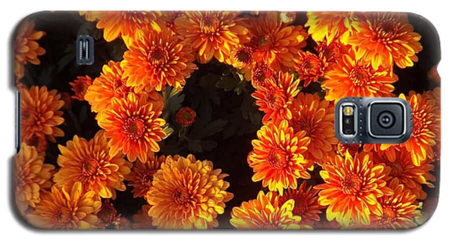 Ablaze Galaxy S5 Case featuring the photograph Ablaze by Elizabeth Sullivan
