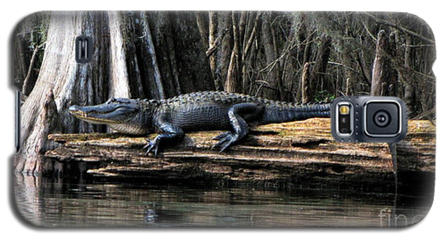 American Alligator Galaxy S5 Case featuring the photograph Alligator Sunning by Barbara Bowen