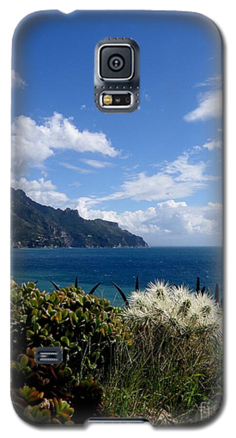  Amalfi Galaxy S5 Case featuring the photograph Amalfi Coast Succulents 2 by Tatyana Searcy