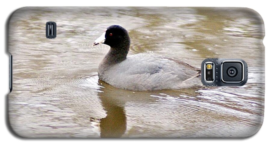 Coot Galaxy S5 Case featuring the photograph American Coot 1 by Joe Faherty