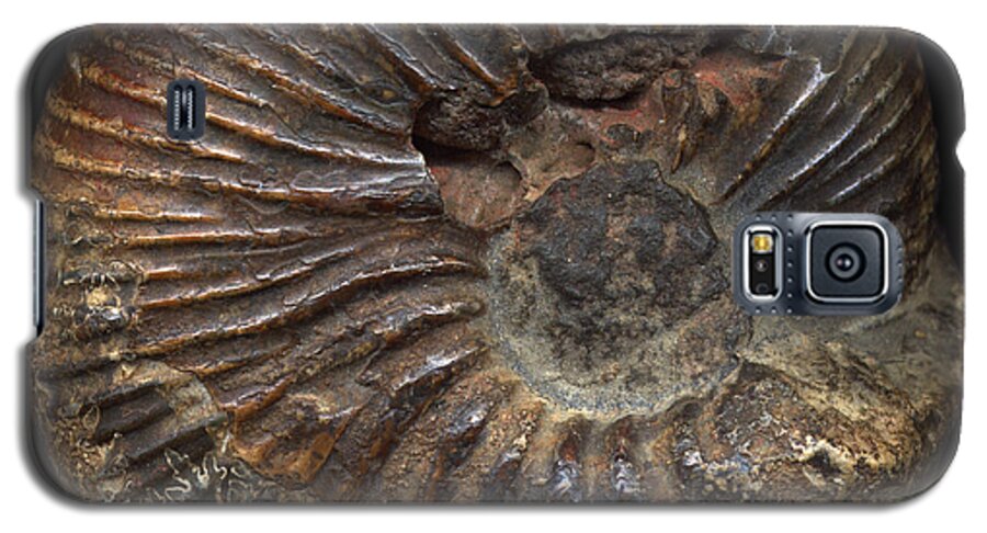 Fossil Galaxy S5 Case featuring the photograph Ammonite Front by David Kleinsasser