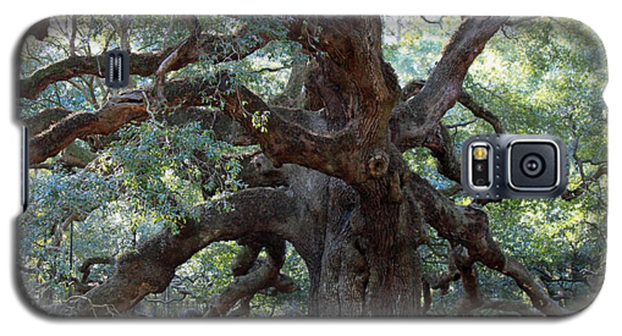 Angel Oak Galaxy S5 Case featuring the photograph Angel Oak - Dont Climb or Carve on the Tree by Suzanne Gaff