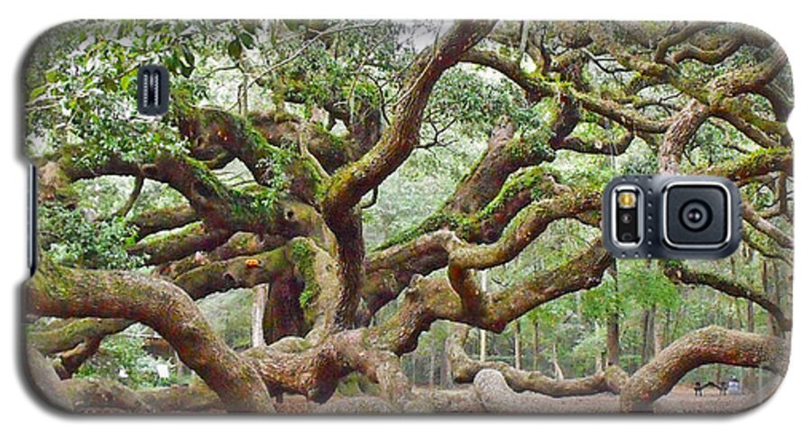 South Galaxy S5 Case featuring the photograph Angel Oak by Val Miller