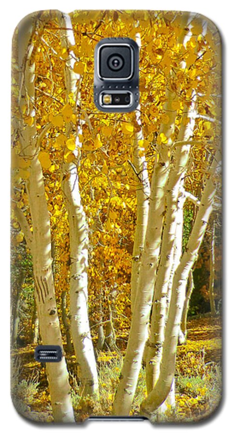 Aspen Galaxy S5 Case featuring the photograph Aspen Claws by L J Oakes