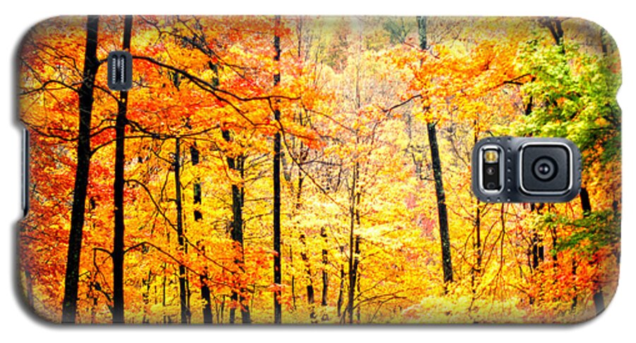 Autumn Galaxy S5 Case featuring the photograph Autumn Forest by Randall Branham