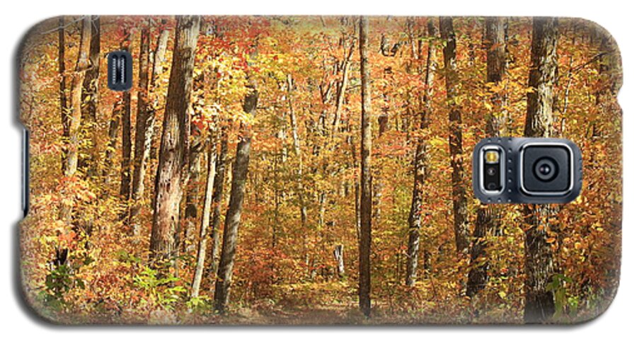 Autumn Galaxy S5 Case featuring the photograph Autumn in Minnesota by Penny Meyers