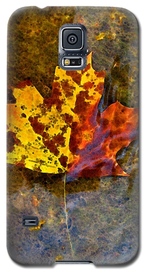 Botanical Galaxy S5 Case featuring the digital art Autumn Maple Leaf in water by Debbie Portwood
