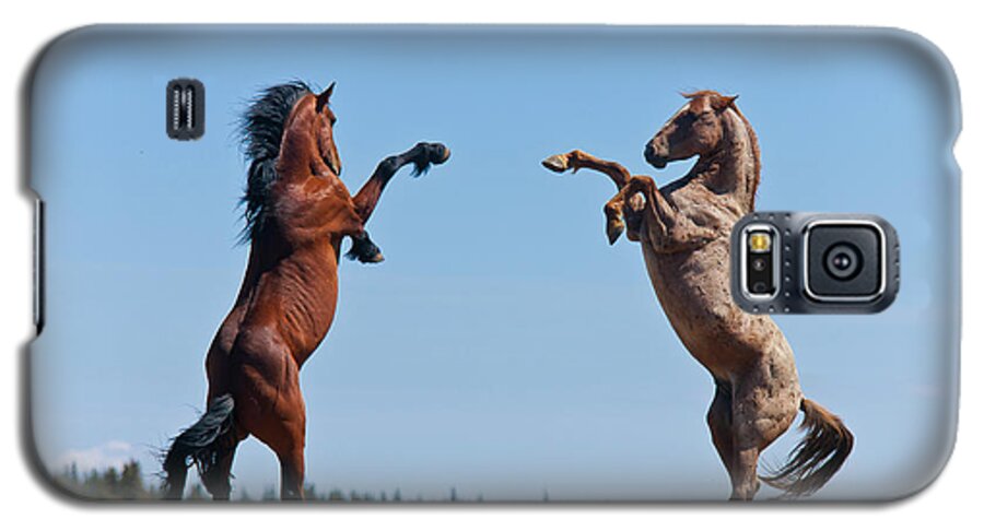Blm Galaxy S5 Case featuring the photograph Balttling Stallions by D Robert Franz