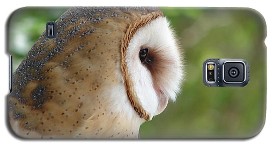 Barn Owl Galaxy S5 Case featuring the photograph Barn Owl by Randy J Heath