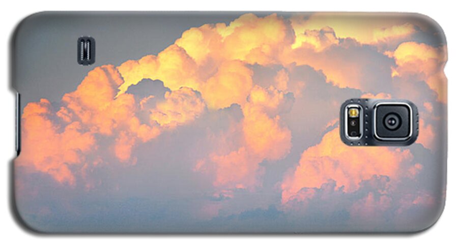 Cows Galaxy S5 Case featuring the photograph Beefy Thunder by Brian Duram