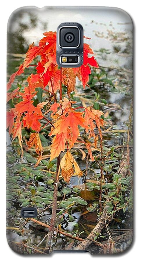 Red Galaxy S5 Case featuring the photograph Bloom by Anjanette Douglas