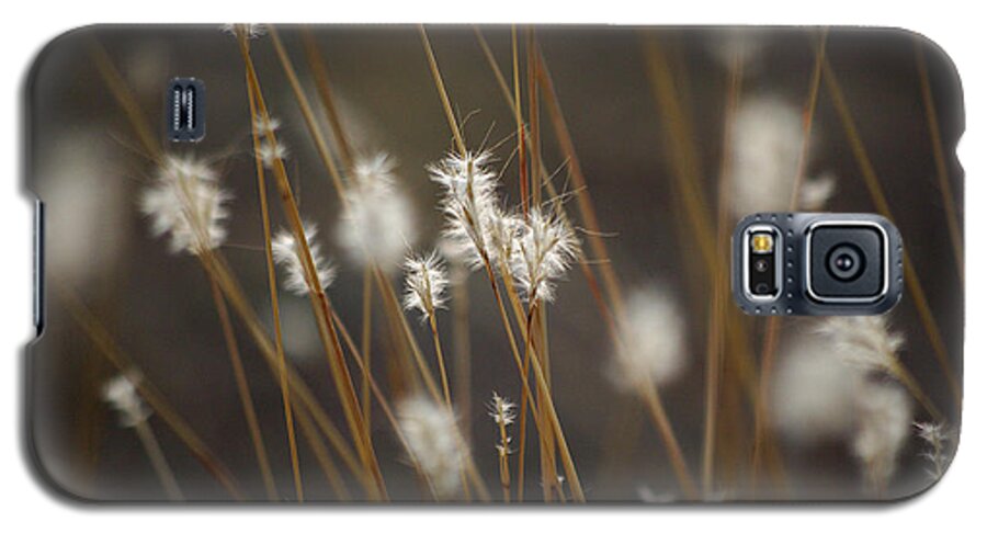 Flora Galaxy S5 Case featuring the photograph Blowing in the Wind by Vicki Pelham