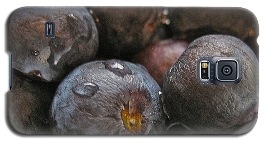 Fruit Galaxy S5 Case featuring the photograph Blueberries by Bill Owen