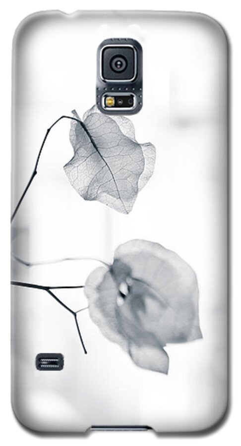 Bougainvillea Galaxy S5 Case featuring the photograph Bougainvillea - High-key lighting by Michael Goyberg