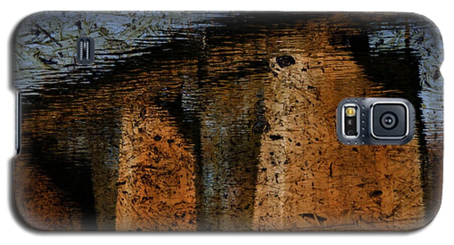 Bridge Galaxy S5 Case featuring the photograph Bridge To Nowhere by Steven Richardson