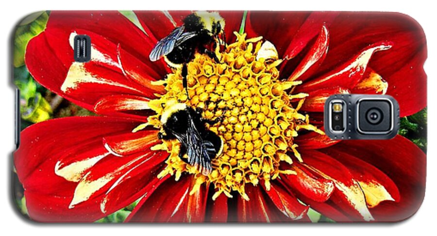 Bees Galaxy S5 Case featuring the photograph Busy Bees by Nick Kloepping