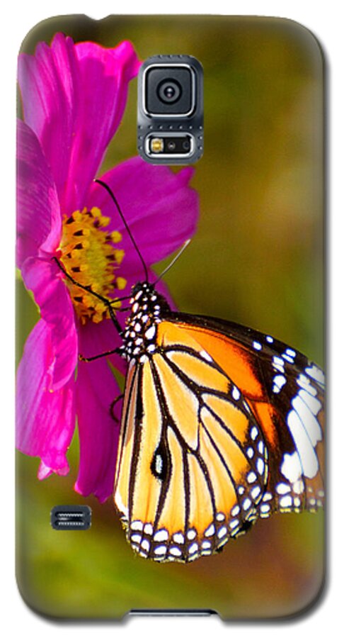 3331 Galaxy S5 Case featuring the photograph Butterfly II by Fotosas Photography