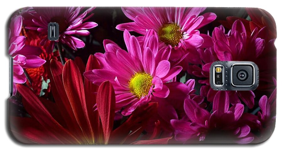 Bouquets Galaxy S5 Case featuring the photograph Cacophony of Color by Joe Kozlowski