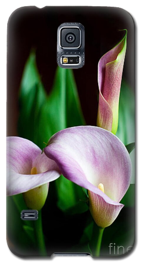 Flowers Galaxy S5 Case featuring the photograph Calla Lily by Barbara McMahon