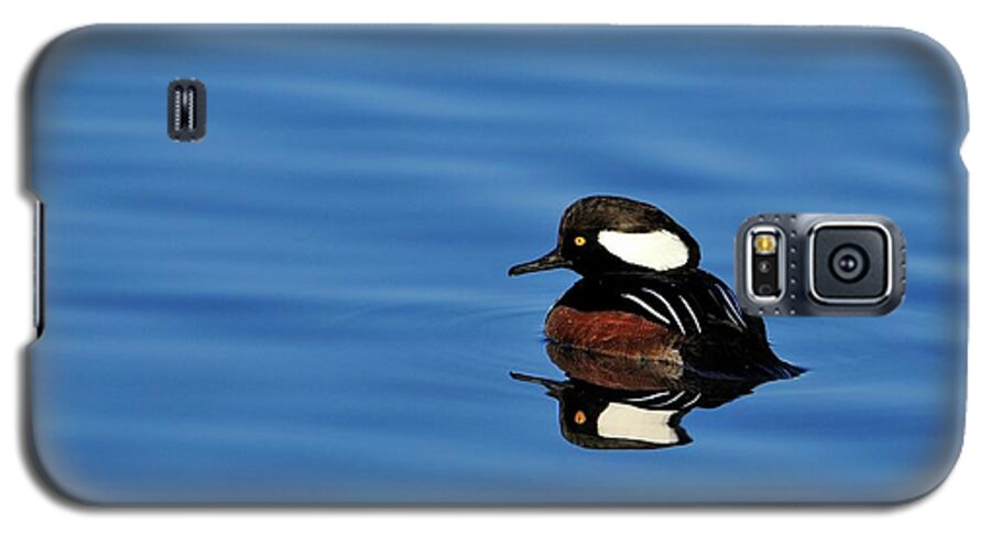 Hooded Galaxy S5 Case featuring the photograph Calm reflection by Bill Dodsworth