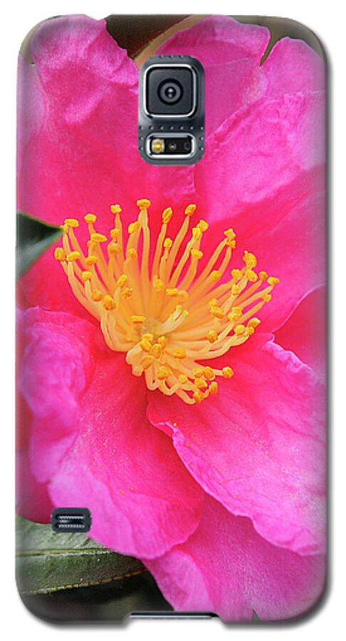 Flower Galaxy S5 Case featuring the photograph Camillia by Bill Dodsworth