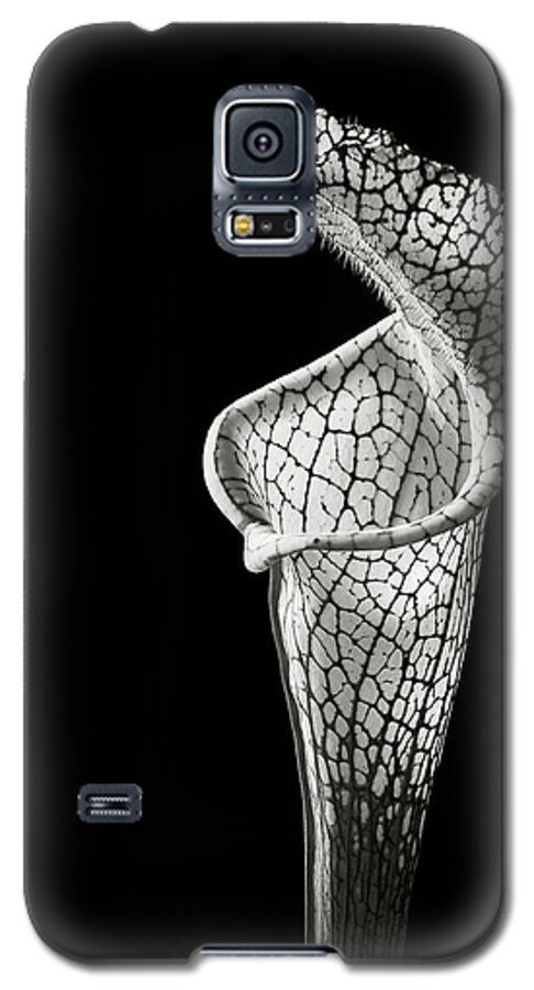 Flower Galaxy S5 Case featuring the photograph Cobra Lily in Black and White by Endre Balogh