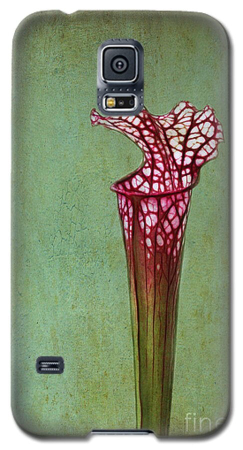 Cobra Galaxy S5 Case featuring the photograph Cobra Lily by Judi Bagwell