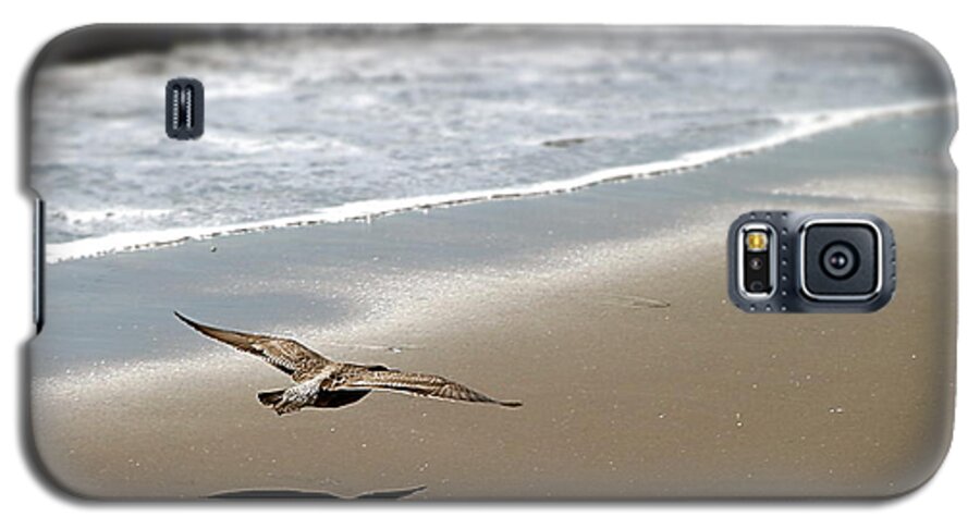Seagull Galaxy S5 Case featuring the photograph Coming In For Landing by Henrik Lehnerer