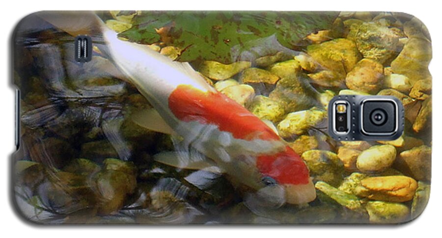 Koi/koi Fishwater/water Lillies Galaxy S5 Case featuring the photograph Contemplation by Dan Menta