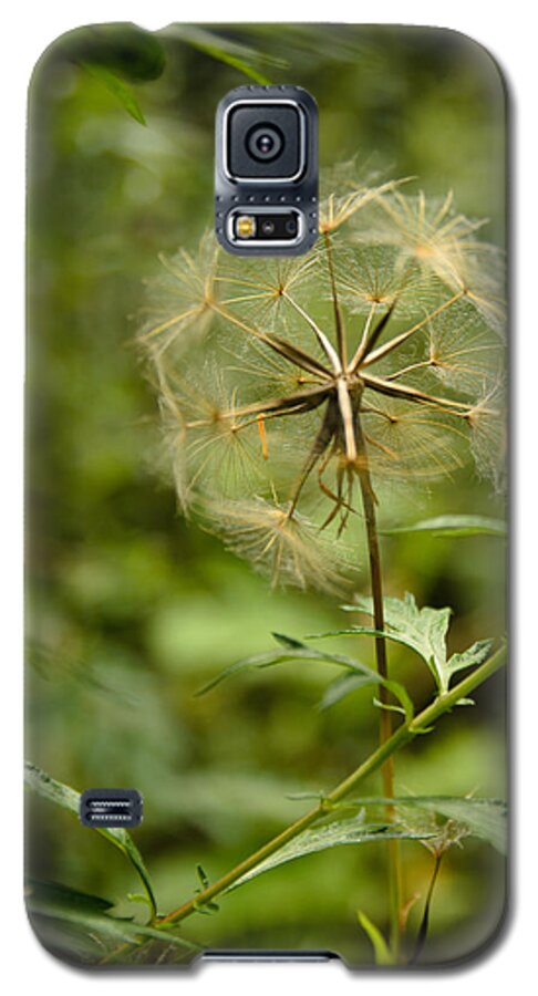 Blowball Galaxy S5 Case featuring the photograph Dandelion by Michael Goyberg