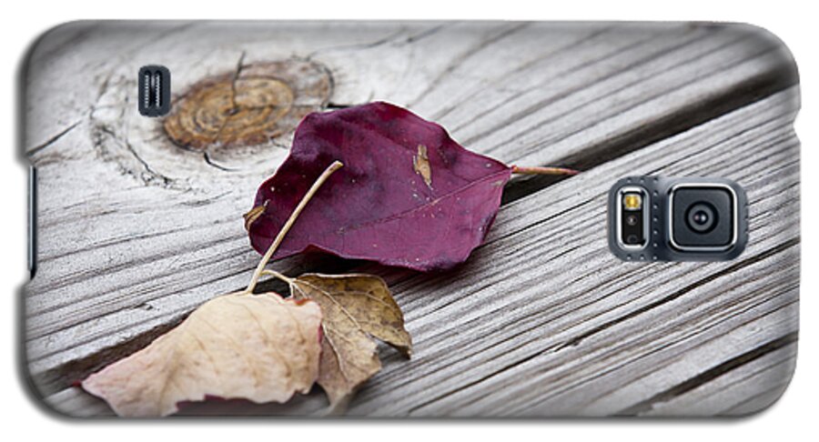 Leaves Galaxy S5 Case featuring the photograph Dead Leaves by Olivier Steiner