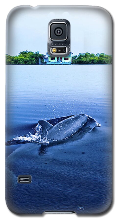 Dolphin Galaxy S5 Case featuring the photograph Dolphins by the Mangrove House by Steven Llorca