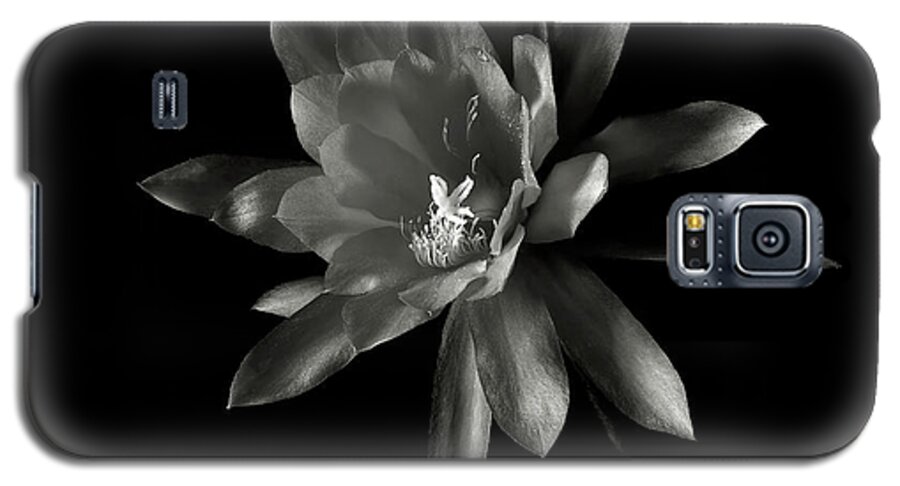 Flower Galaxy S5 Case featuring the photograph Epyphylum Padre in Black and White by Endre Balogh