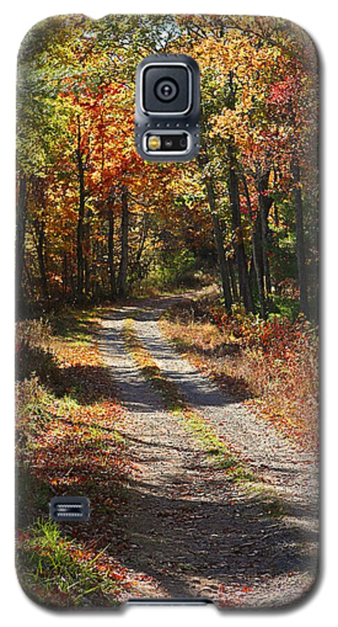 Autumn Galaxy S5 Case featuring the photograph Fall On The Wyrick Trail by Denise Romano