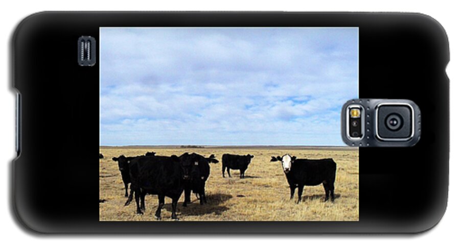 Cattle Galaxy S5 Case featuring the photograph Farm Friends by Clarice Lakota