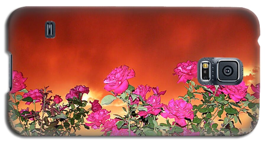 Firery Roses Canvas Prints Galaxy S5 Case featuring the photograph Firery Roses by Wendy McKennon