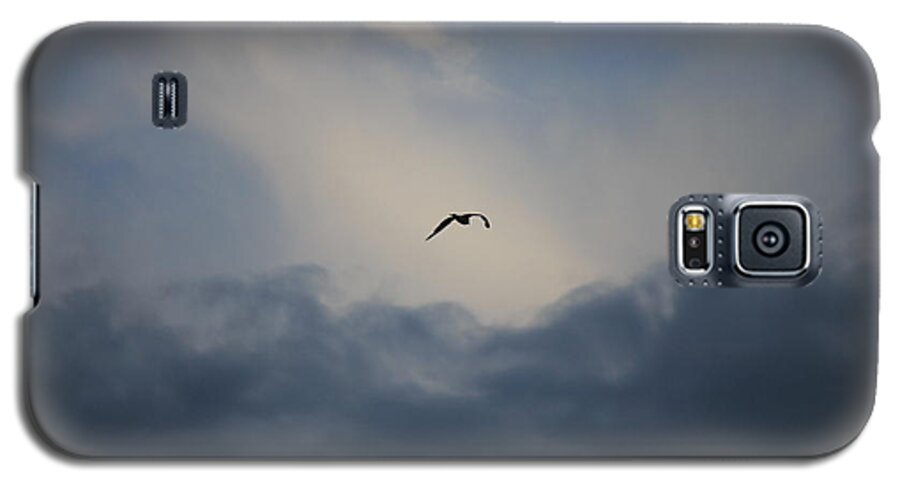 Seagull Galaxy S5 Case featuring the photograph Flight to Heaven by Penny Meyers