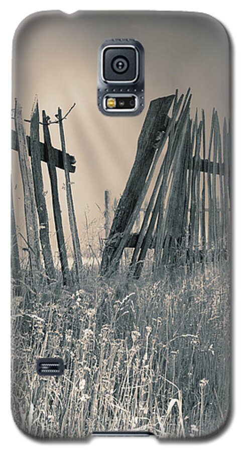 Toned Print Galaxy S5 Case featuring the photograph Freedom by Mary Almond