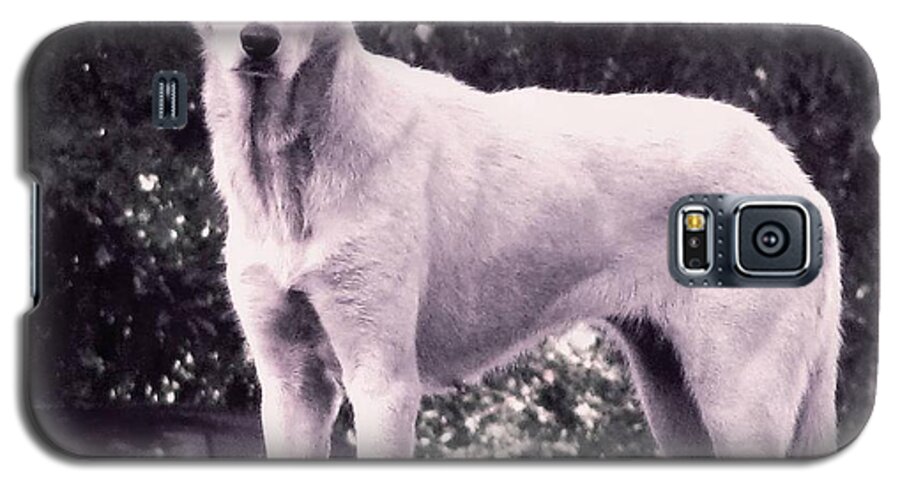 Wolf Galaxy S5 Case featuring the photograph Ghost the Wolf by Maria Urso